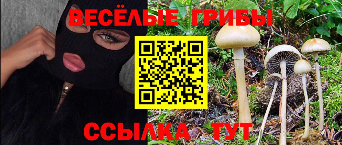 Псилоцибиновые грибы прущие грибы  Вход с VPN  Зима 