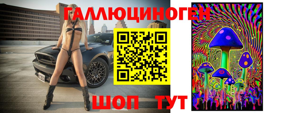 Галлюциногенные грибы прущие грибы Зима
